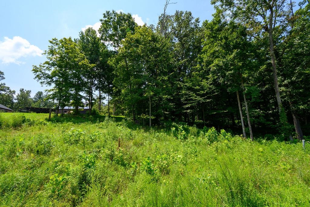 Lot 91 Odessa Dr, Utica, Kentucky 42376, ,Land,For Sale,Odessa Dr,94219
