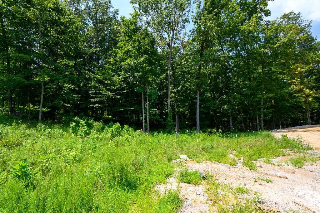 Lot 91 Odessa Dr, Utica, Kentucky 42376, ,Land,For Sale,Odessa Dr,94219