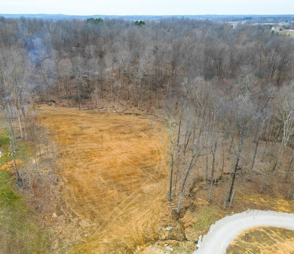 Lot 91 Odessa Dr, Utica, Kentucky 42376, ,Land,For Sale,Odessa Dr,94219