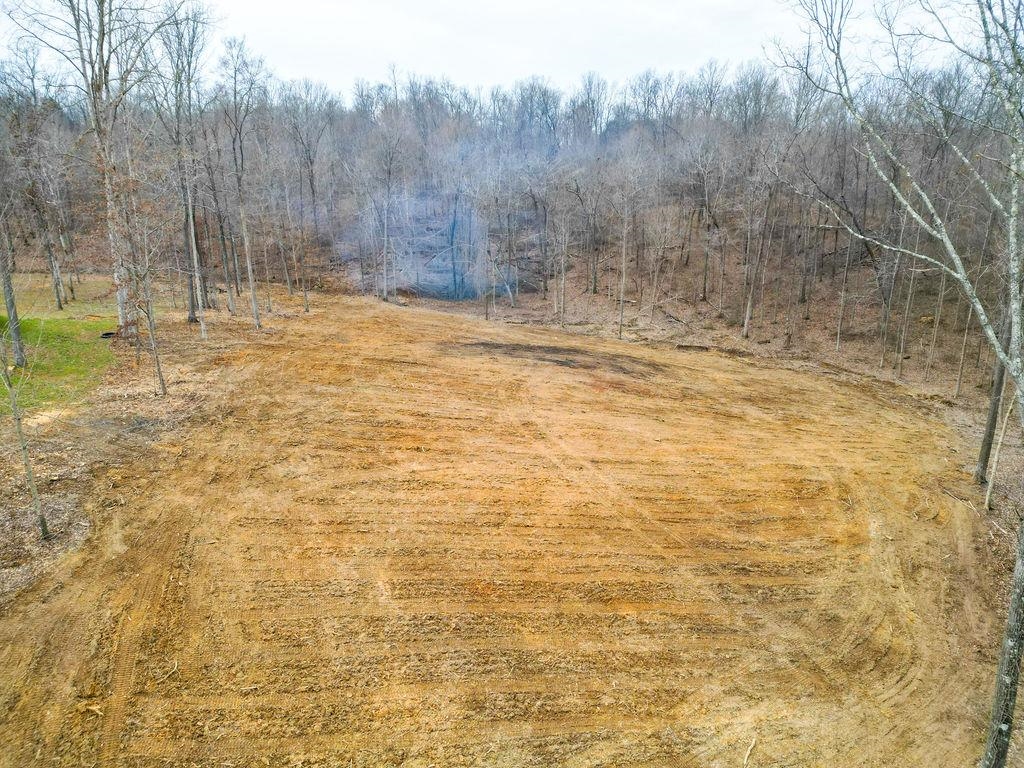 Lot 91 Odessa Dr, Utica, Kentucky 42376, ,Land,For Sale,Odessa Dr,94219