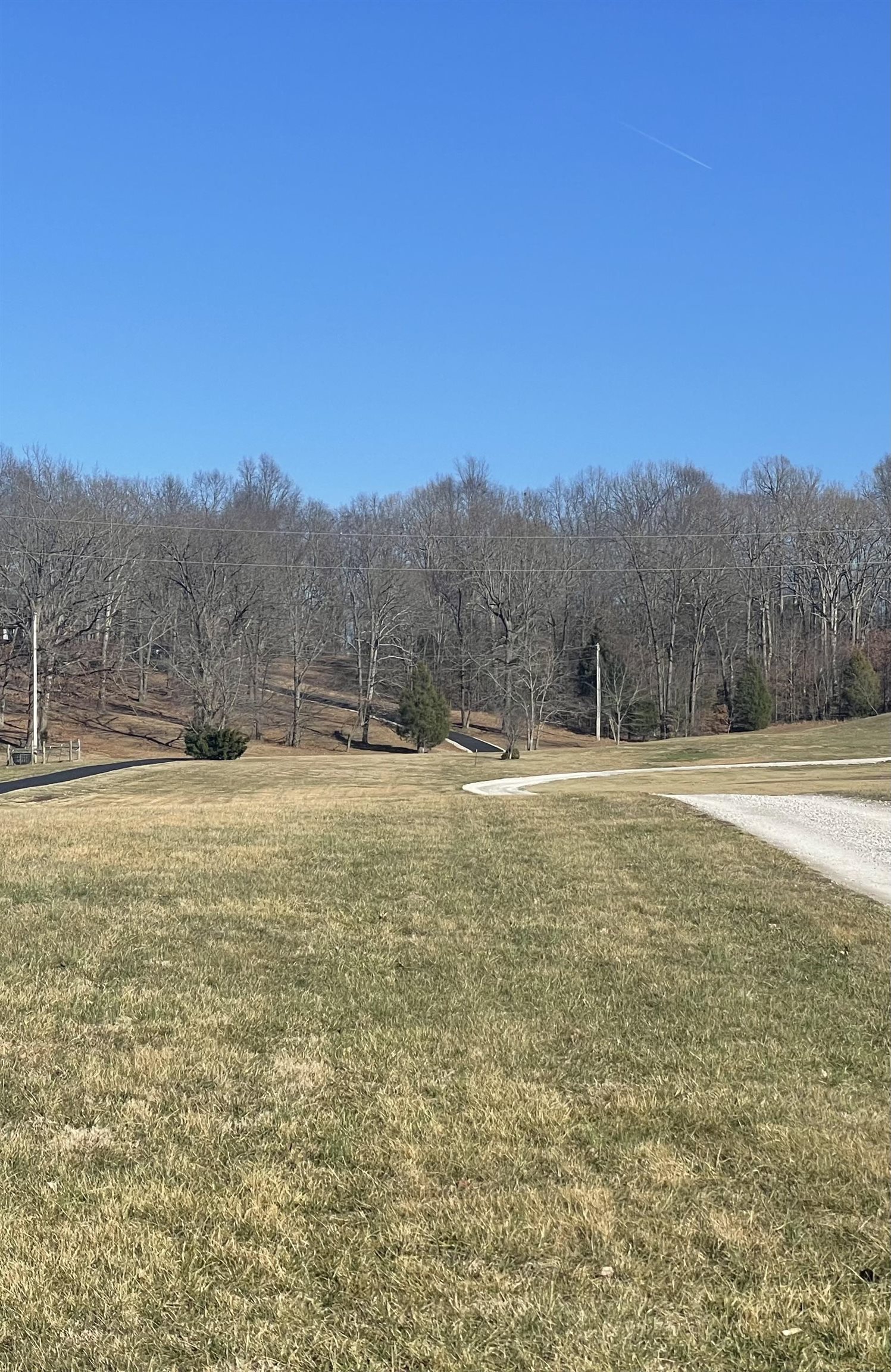 6346 Little Hickory Road, Philpot, Kentucky 42366, ,Land,For Sale,Little Hickory Road,94225