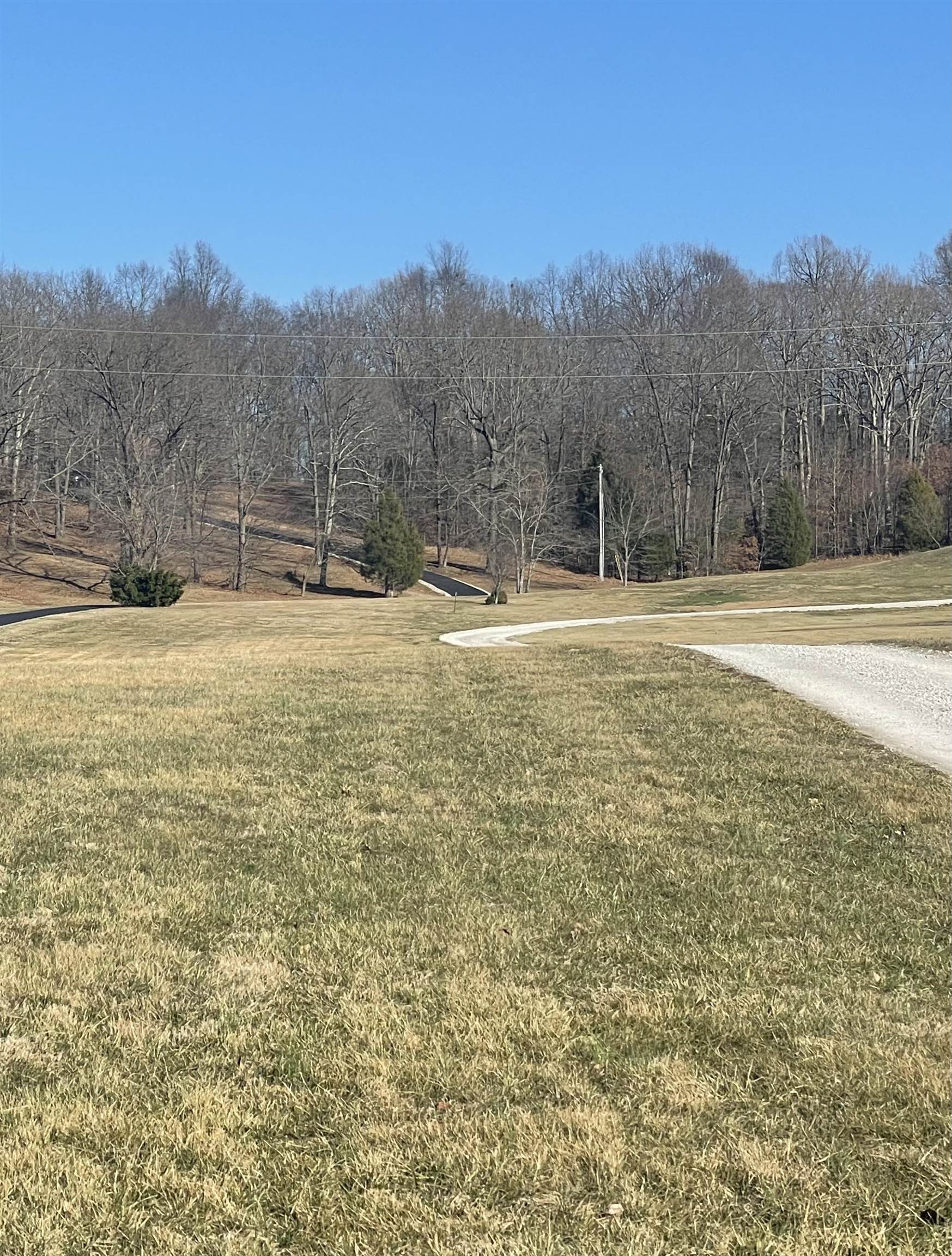 6346 Little Hickory Road, Philpot, Kentucky 42366, ,Land,For Sale,Little Hickory Road,94225