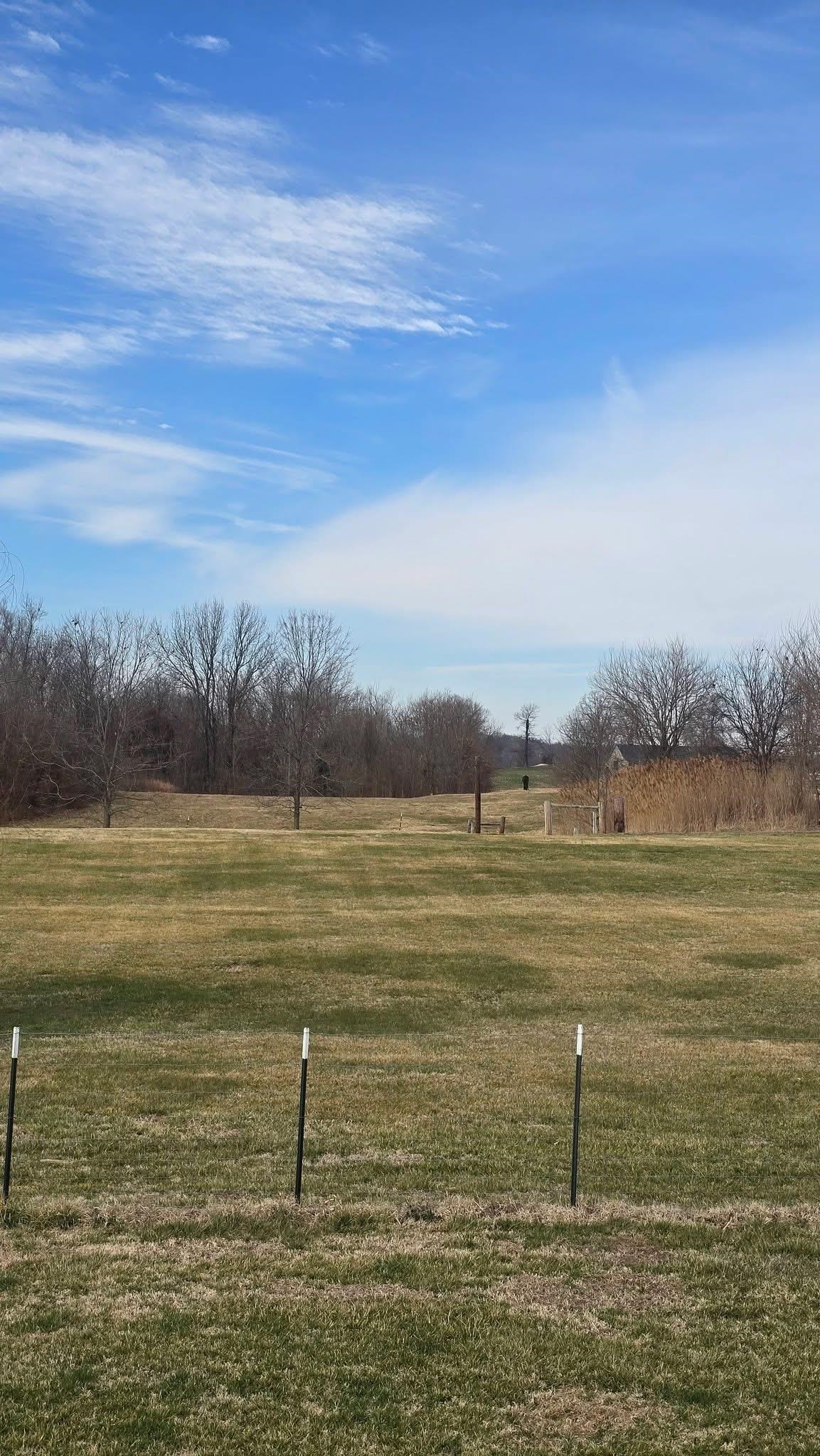 6650 Luther Taylor Road, Philpot, Kentucky 42366, 4 Bedrooms Bedrooms, ,2 BathroomsBathrooms,Single Family Residence,For Sale,Luther Taylor Road,94238