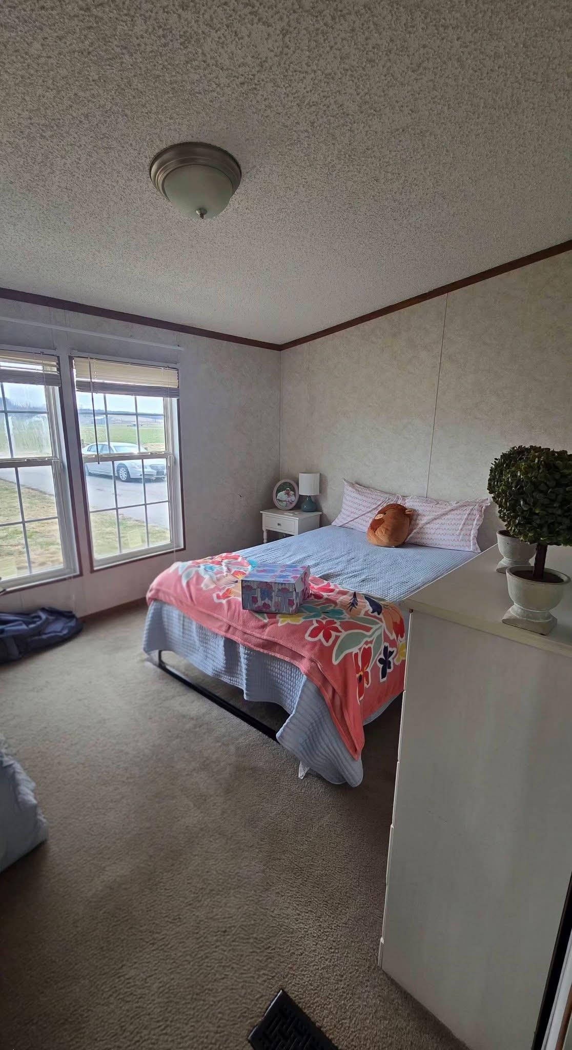 6650 Luther Taylor Road, Philpot, Kentucky 42366, 4 Bedrooms Bedrooms, ,2 BathroomsBathrooms,Single Family Residence,For Sale,Luther Taylor Road,94238