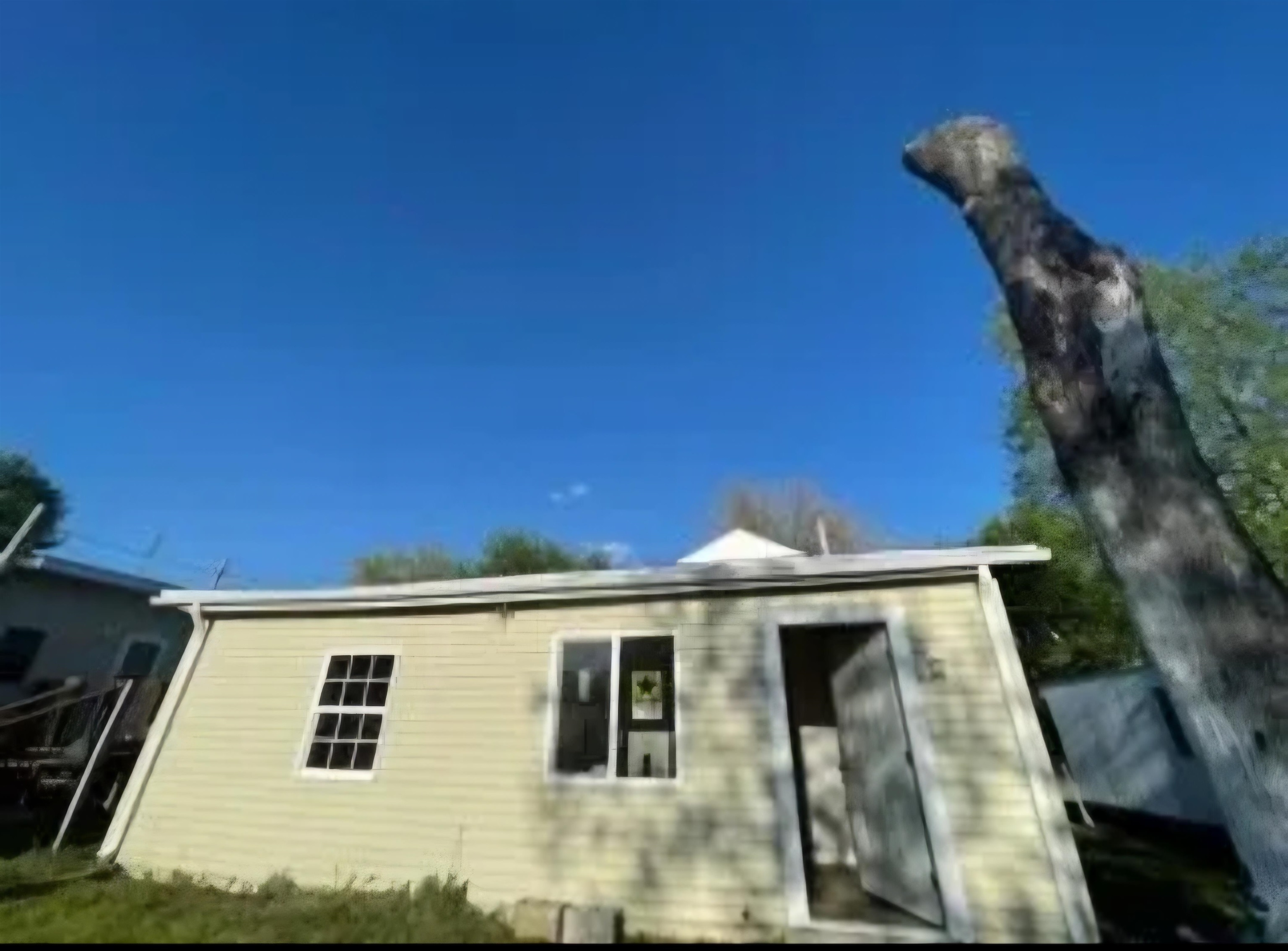 612 pointdexter, Owensboro, Kentucky 42301, 2 Bedrooms Bedrooms, ,1 BathroomBathrooms,Single Family Residence,For Sale,pointdexter,94258