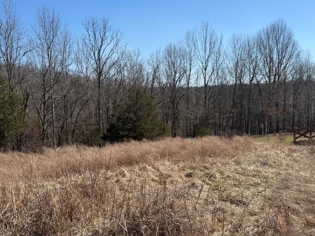Lot 14 Landings Court, other, Kentucky 40078, ,Land,For Sale,Landings Court,94310