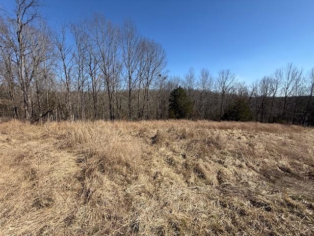 Lot 13 Landings Court, other, Kentucky 40078, ,Land,For Sale,Landings Court,94311