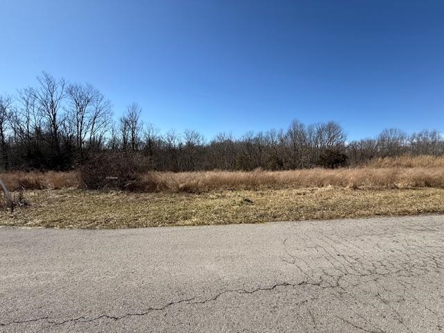 Lot 15 Landings Court, other, Kentucky 40078, ,Land,For Sale,Landings Court,94314