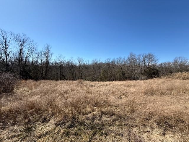 Lot 15 Landings Court, other, Kentucky 40078, ,Land,For Sale,Landings Court,94314