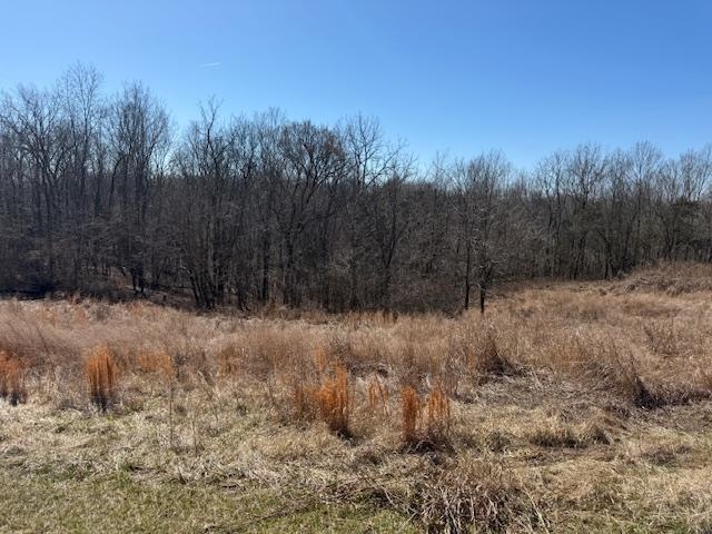 Lot 7 Landings Court, other, Kentucky 40078, ,Land,For Sale,Landings Court,94316