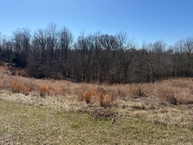 Lot 7 Landings Court, other, Kentucky 40078, ,Land,For Sale,Landings Court,94316