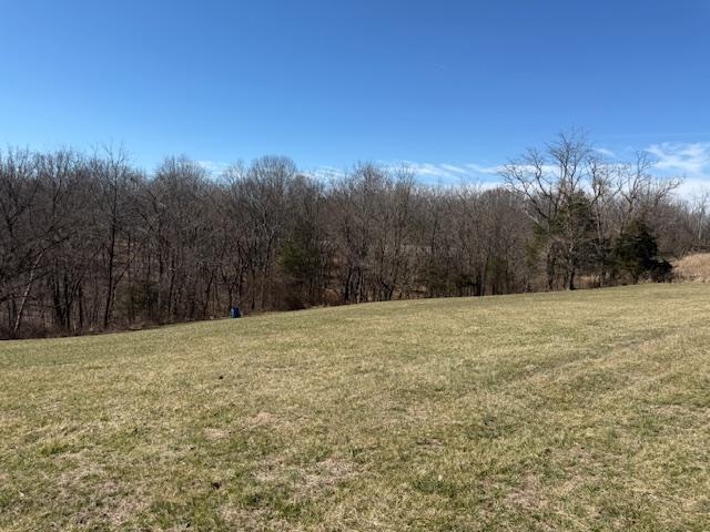 Lot 3 Landings Court, other, Kentucky 40078, ,Land,For Sale,Landings Court,94317