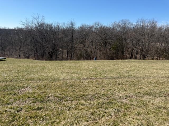 Lot 3 Landings Court, other, Kentucky 40078, ,Land,For Sale,Landings Court,94317