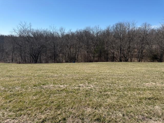 Lot 3 Landings Court, other, Kentucky 40078, ,Land,For Sale,Landings Court,94317