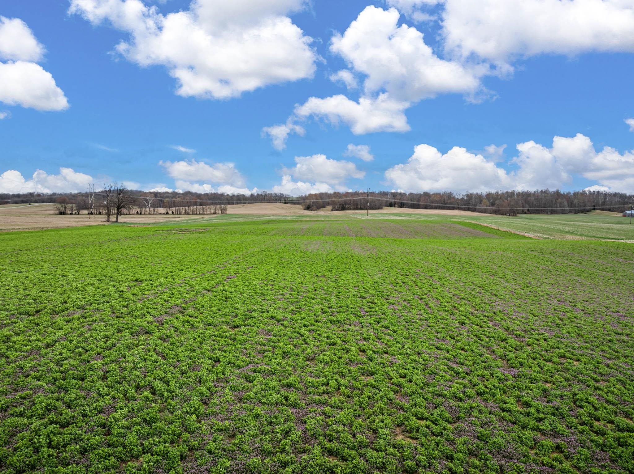 6587 Luther Taylor Road, Philpot, Kentucky 42366, ,Land,For Sale,Luther Taylor Road,94324