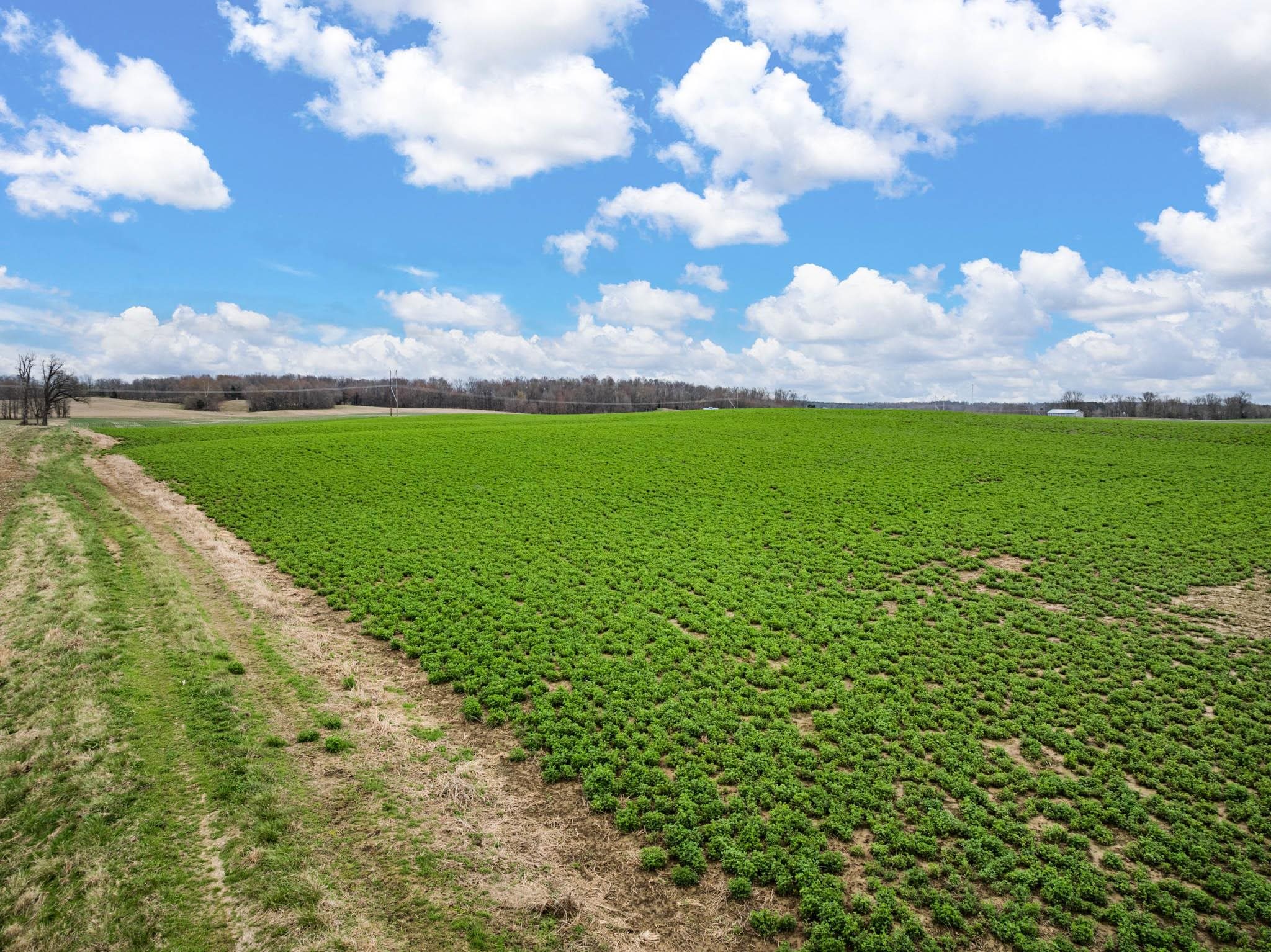 6587 Luther Taylor Road, Philpot, Kentucky 42366, ,Land,For Sale,Luther Taylor Road,94324