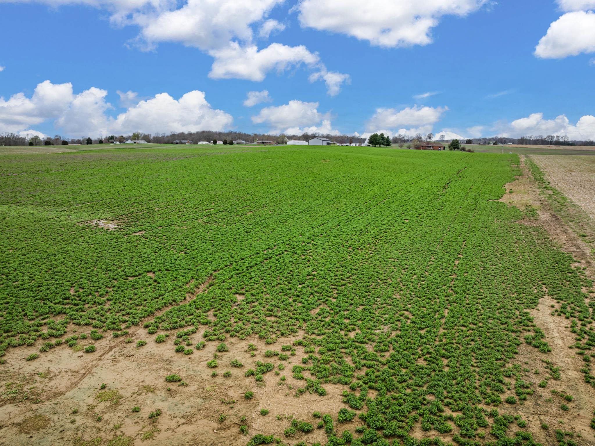 6587 Luther Taylor Road, Philpot, Kentucky 42366, ,Land,For Sale,Luther Taylor Road,94324