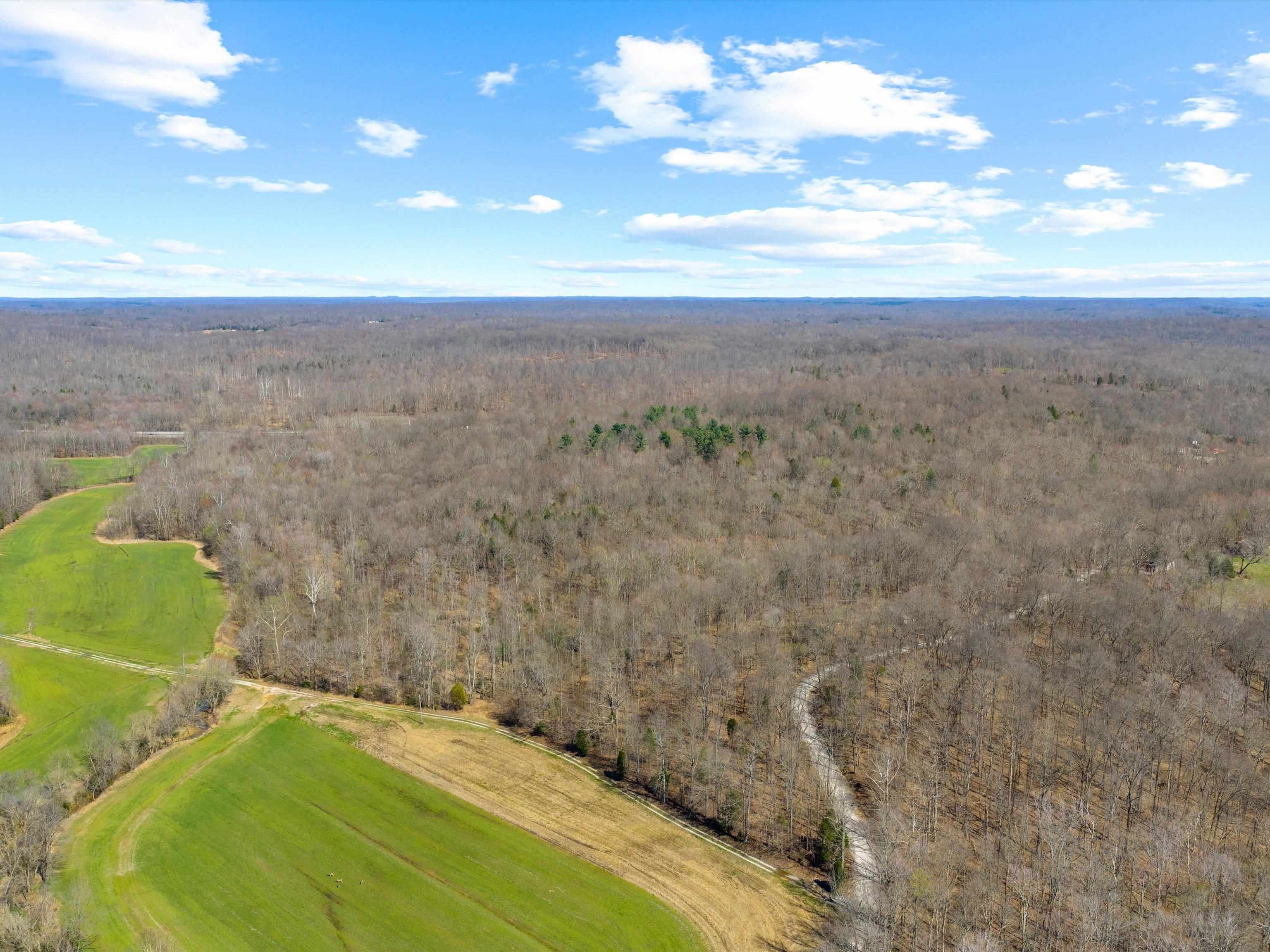 000 Barnett Creek Rd, Hartford, Kentucky 42347, ,Land,For Sale,Barnett Creek Rd,94347