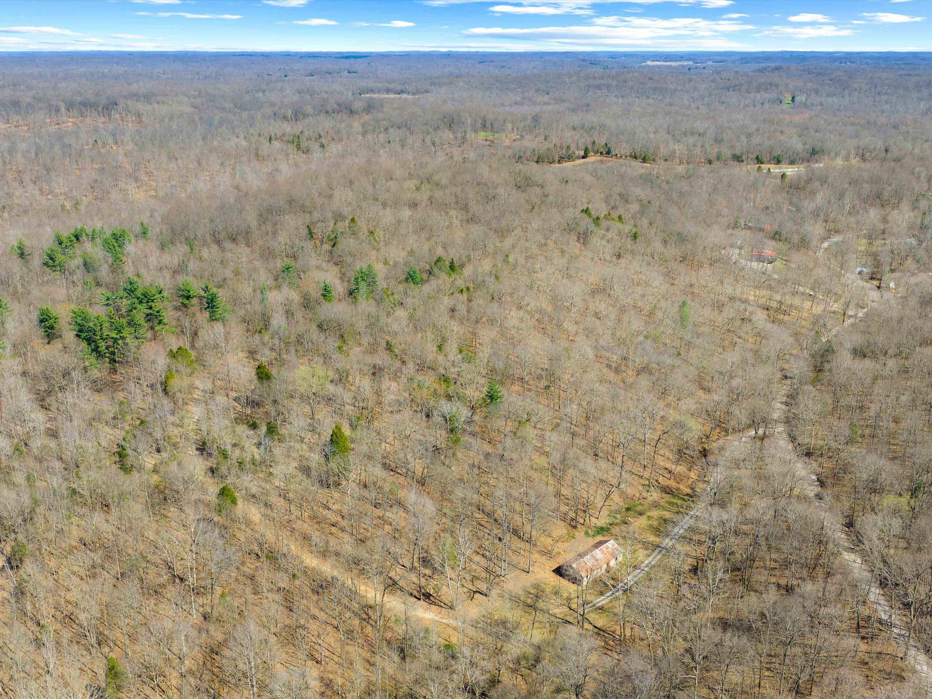 000 Barnett Creek Rd, Hartford, Kentucky 42347, ,Land,For Sale,Barnett Creek Rd,94347