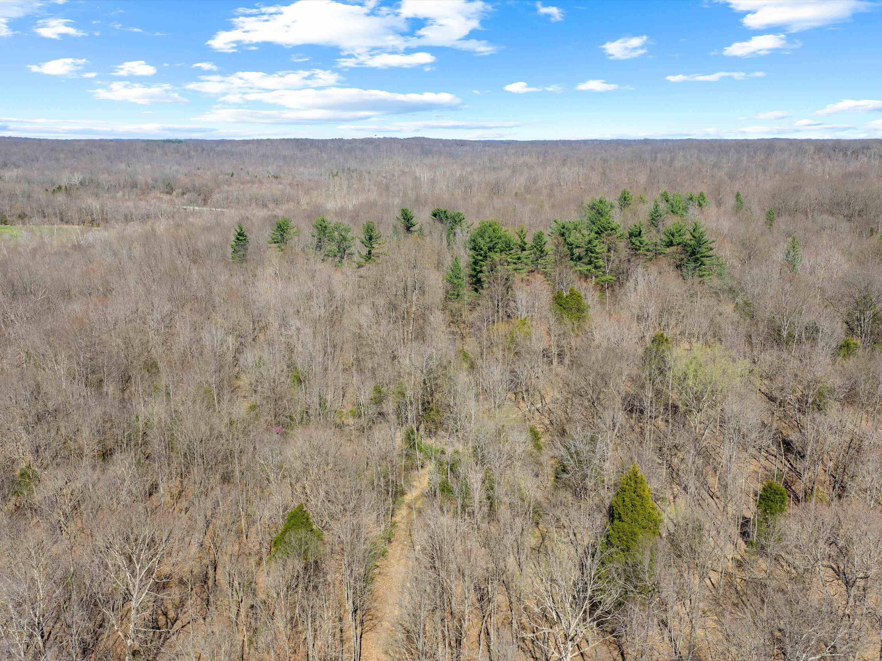 000 Barnett Creek Rd, Hartford, Kentucky 42347, ,Land,For Sale,Barnett Creek Rd,94347