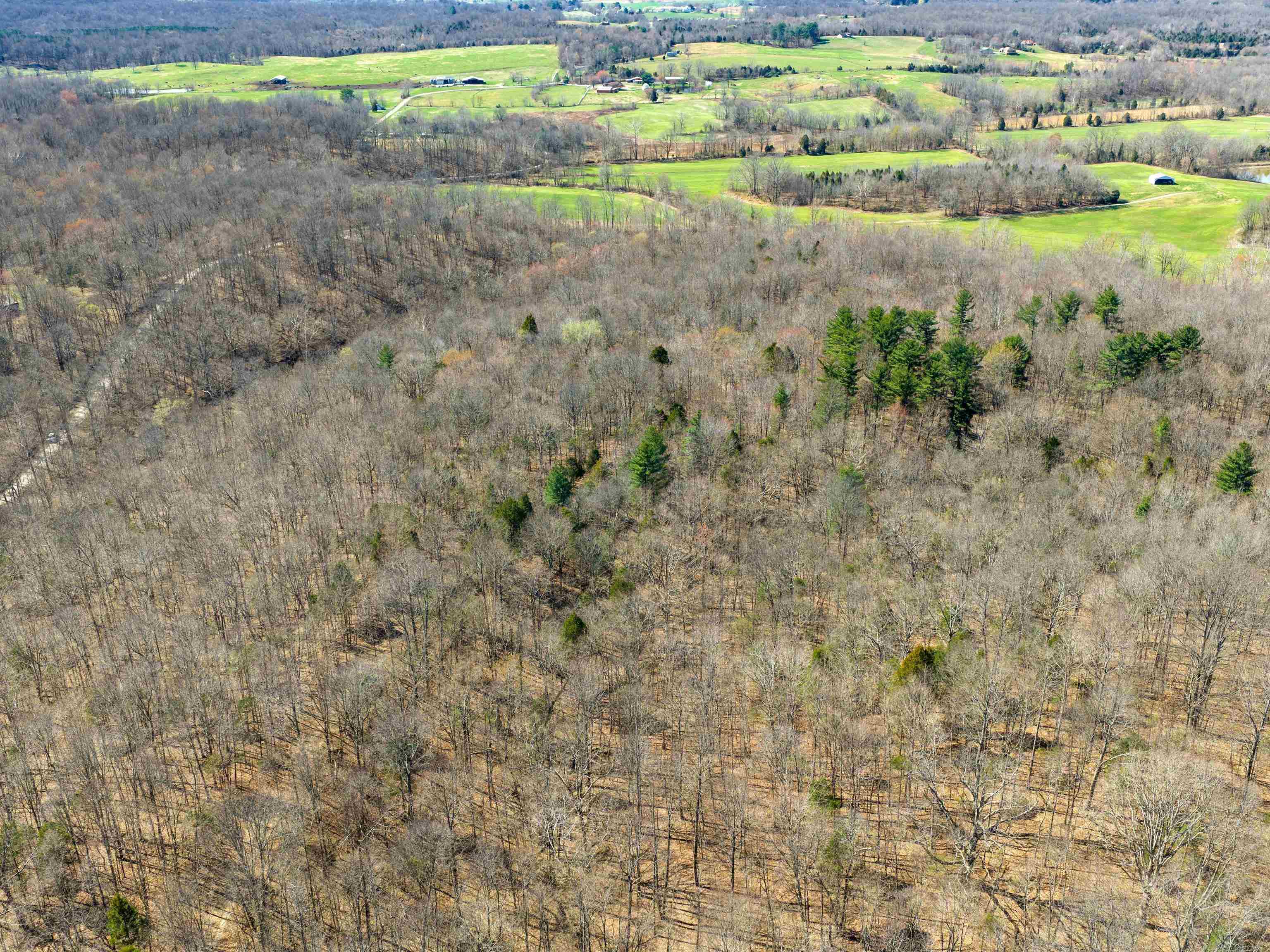 000 Barnett Creek Rd, Hartford, Kentucky 42347, ,Land,For Sale,Barnett Creek Rd,94347