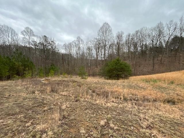 665 Lambert Schoolhouse Rd, Hawesville, Kentucky 42348, ,Land,For Sale,Lambert Schoolhouse Rd,94357