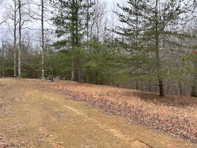 665 Lambert Schoolhouse Rd, Hawesville, Kentucky 42348, ,Land,For Sale,Lambert Schoolhouse Rd,94357