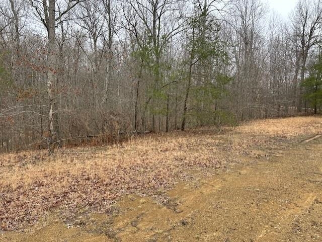 665 Lambert Schoolhouse Rd, Hawesville, Kentucky 42348, ,Land,For Sale,Lambert Schoolhouse Rd,94357