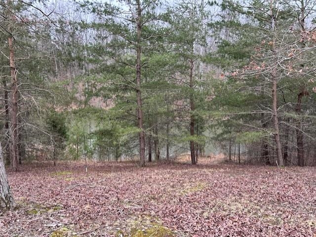 665 Lambert Schoolhouse Rd, Hawesville, Kentucky 42348, ,Land,For Sale,Lambert Schoolhouse Rd,94357