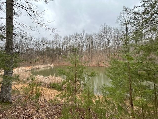 665 Lambert Schoolhouse Rd, Hawesville, Kentucky 42348, ,Land,For Sale,Lambert Schoolhouse Rd,94357