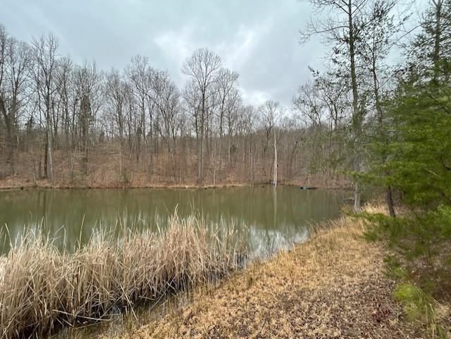 665 Lambert Schoolhouse Rd, Hawesville, Kentucky 42348, ,Land,For Sale,Lambert Schoolhouse Rd,94357