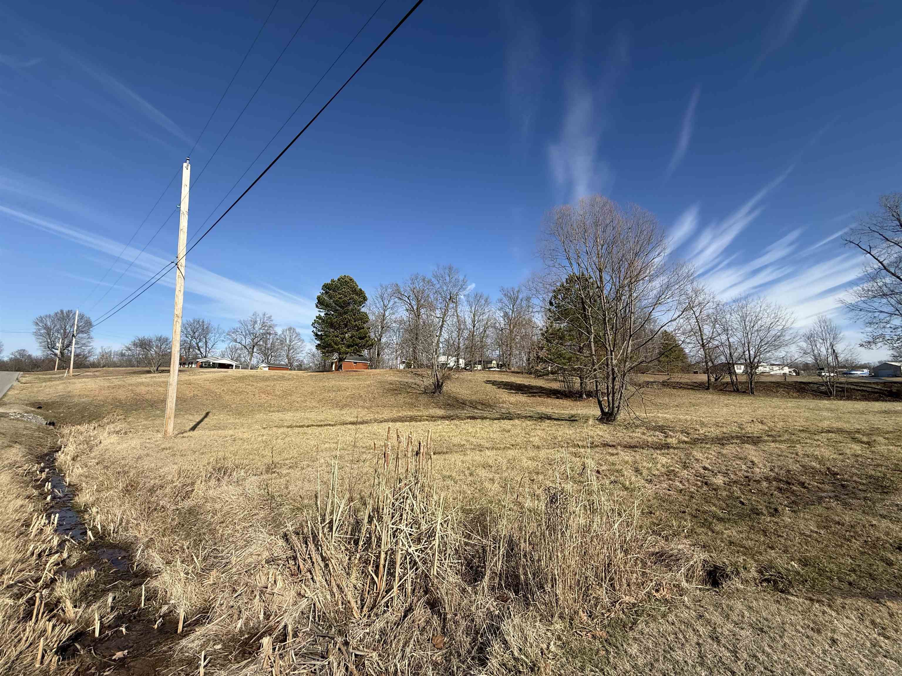 1310 Mcleod Ln, Madisonville, Kentucky 42431, ,Land,For Sale,Mcleod Ln,94398