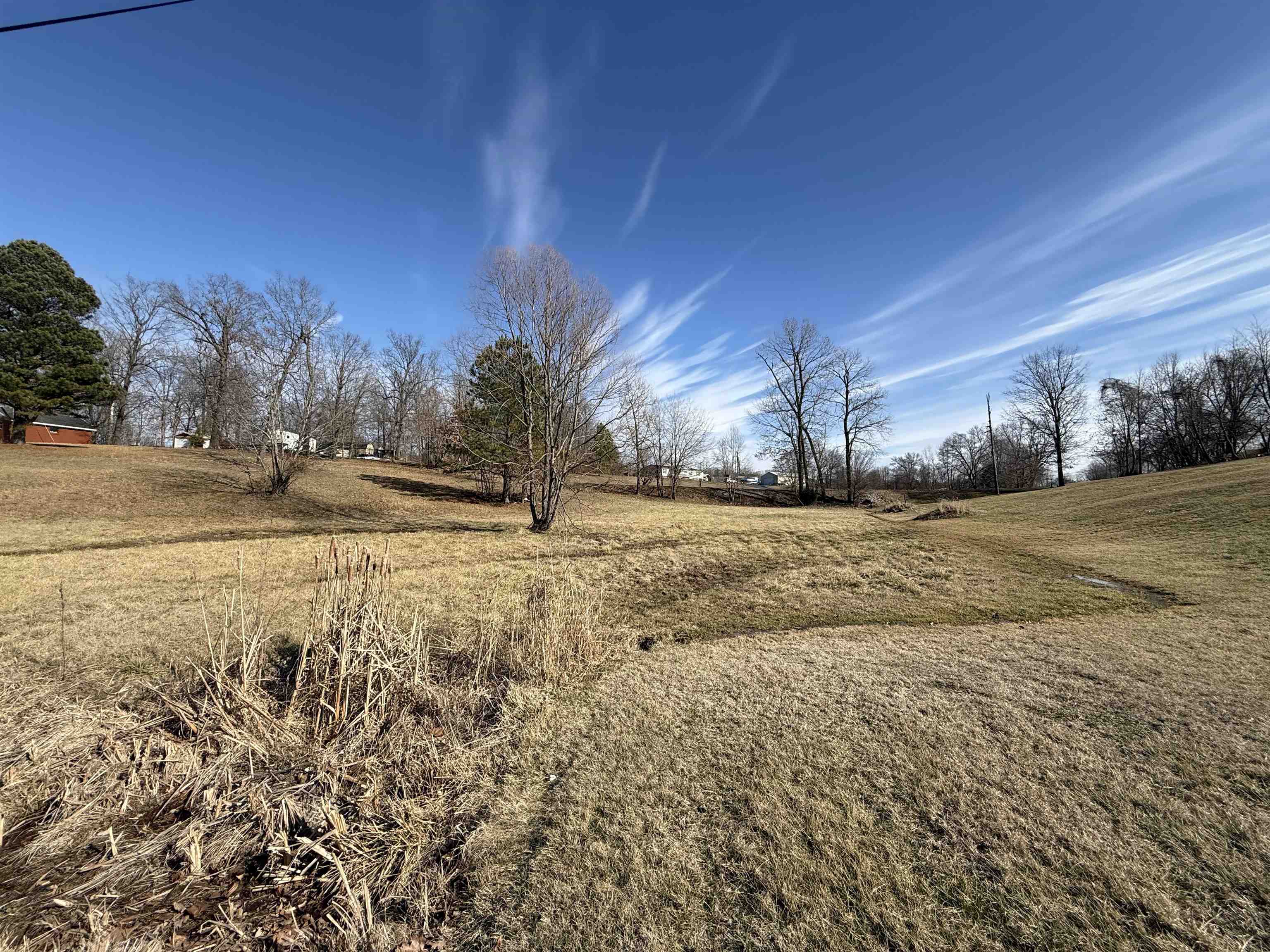 1310 Mcleod Ln, Madisonville, Kentucky 42431, ,Land,For Sale,Mcleod Ln,94398