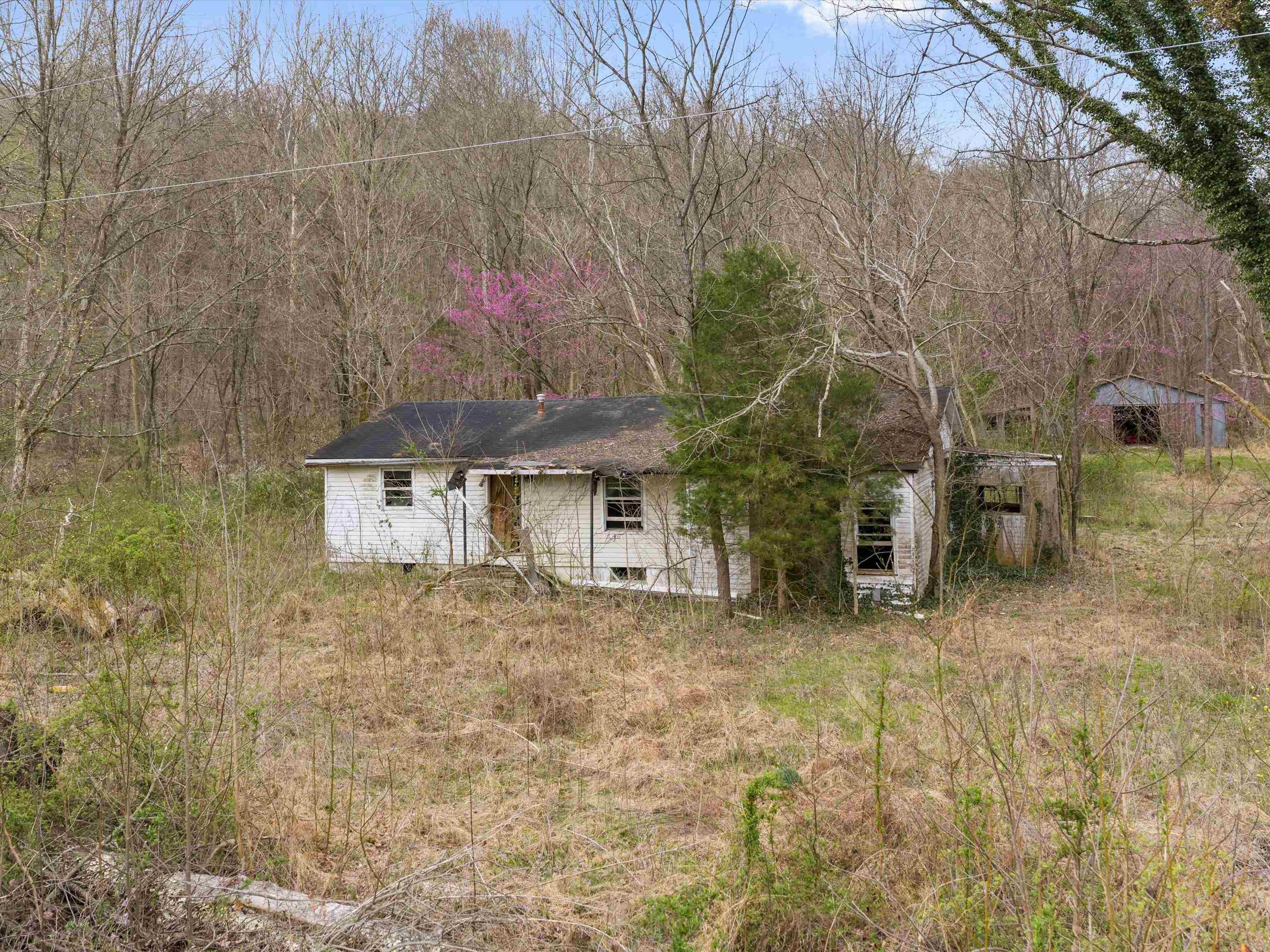 290 Railroad Bed Road, Fordsville, Kentucky 42343, 4 Bedrooms Bedrooms, ,2 BathroomsBathrooms,Single Family Residence,For Sale,Railroad Bed Road,94418