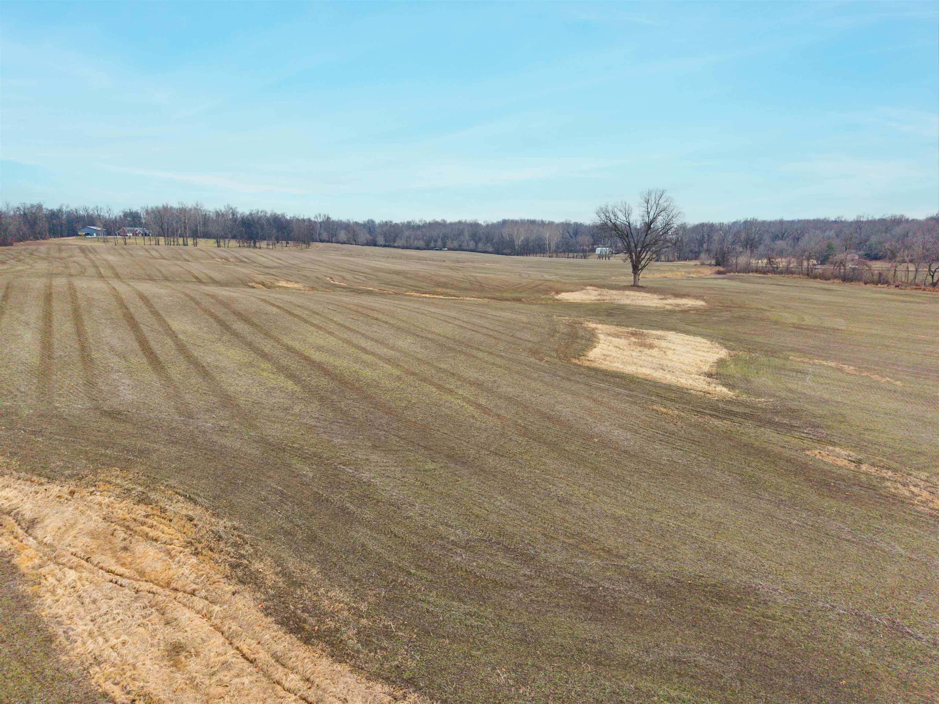 HWY 41 A, Henderson, Kentucky 42420, ,Farm,For Sale,41 A,94427