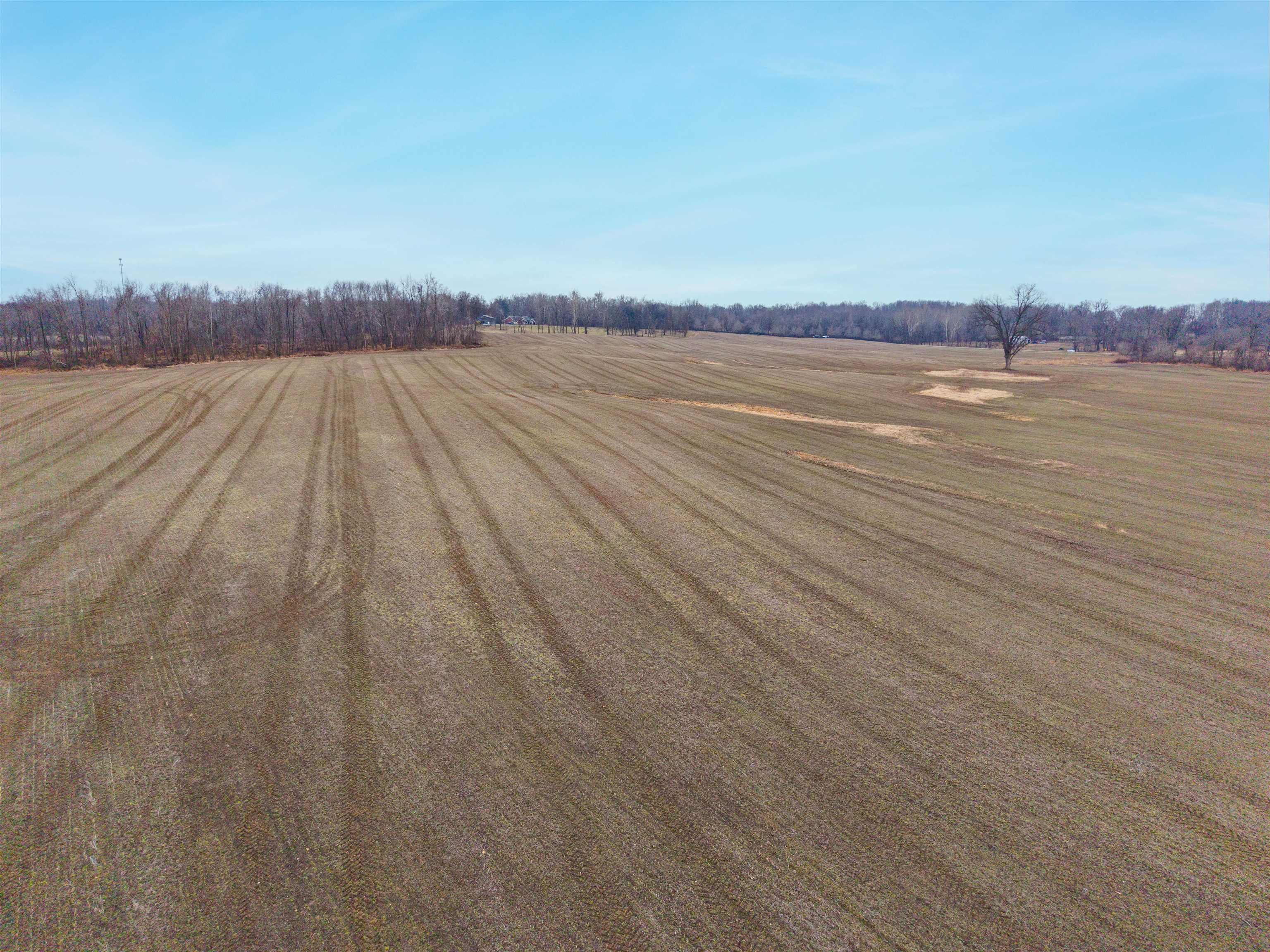 HWY 41 A, Henderson, Kentucky 42420, ,Farm,For Sale,41 A,94427