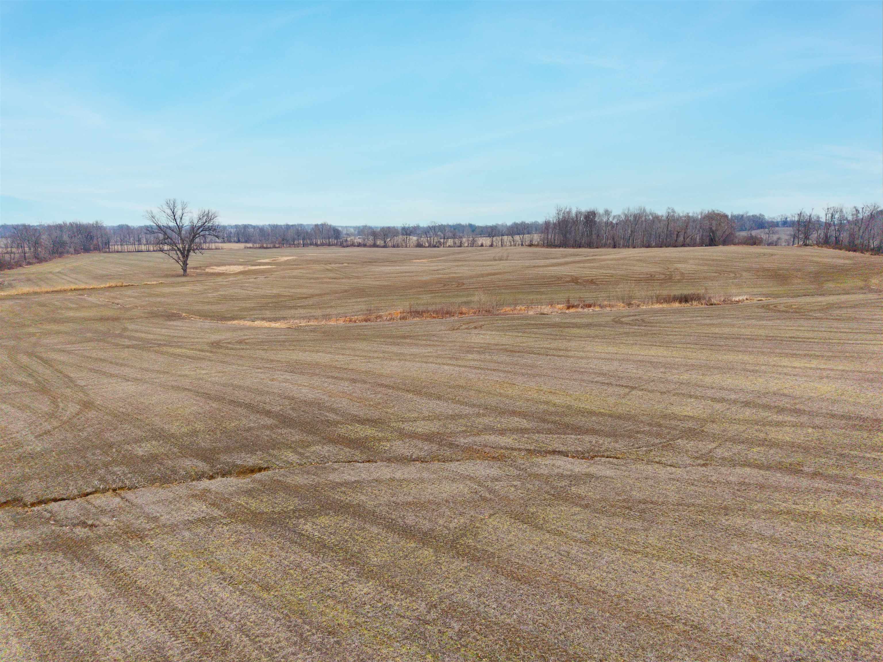 HWY 41 A, Henderson, Kentucky 42420, ,Farm,For Sale,41 A,94427