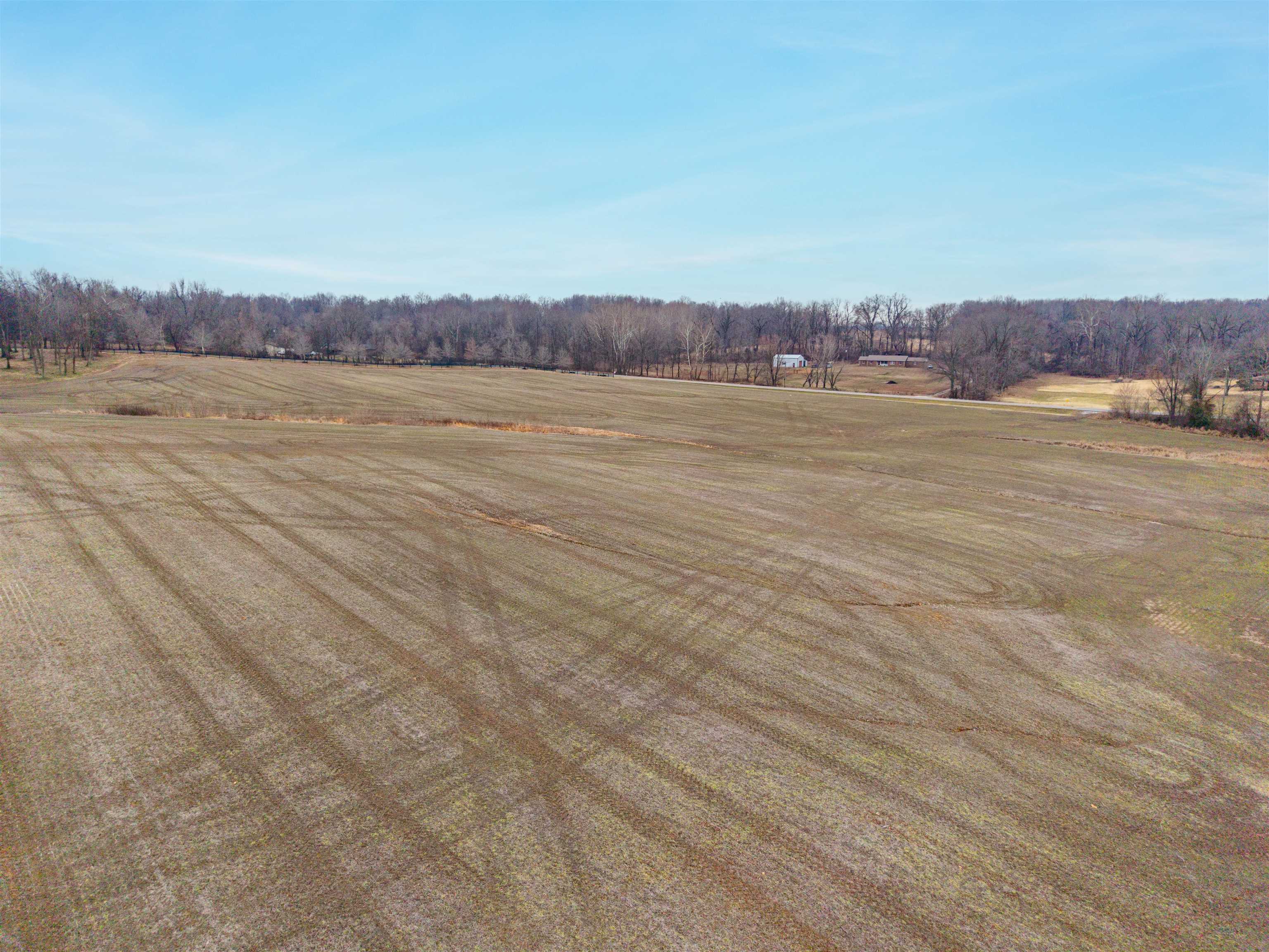 HWY 41 A, Henderson, Kentucky 42420, ,Farm,For Sale,41 A,94427