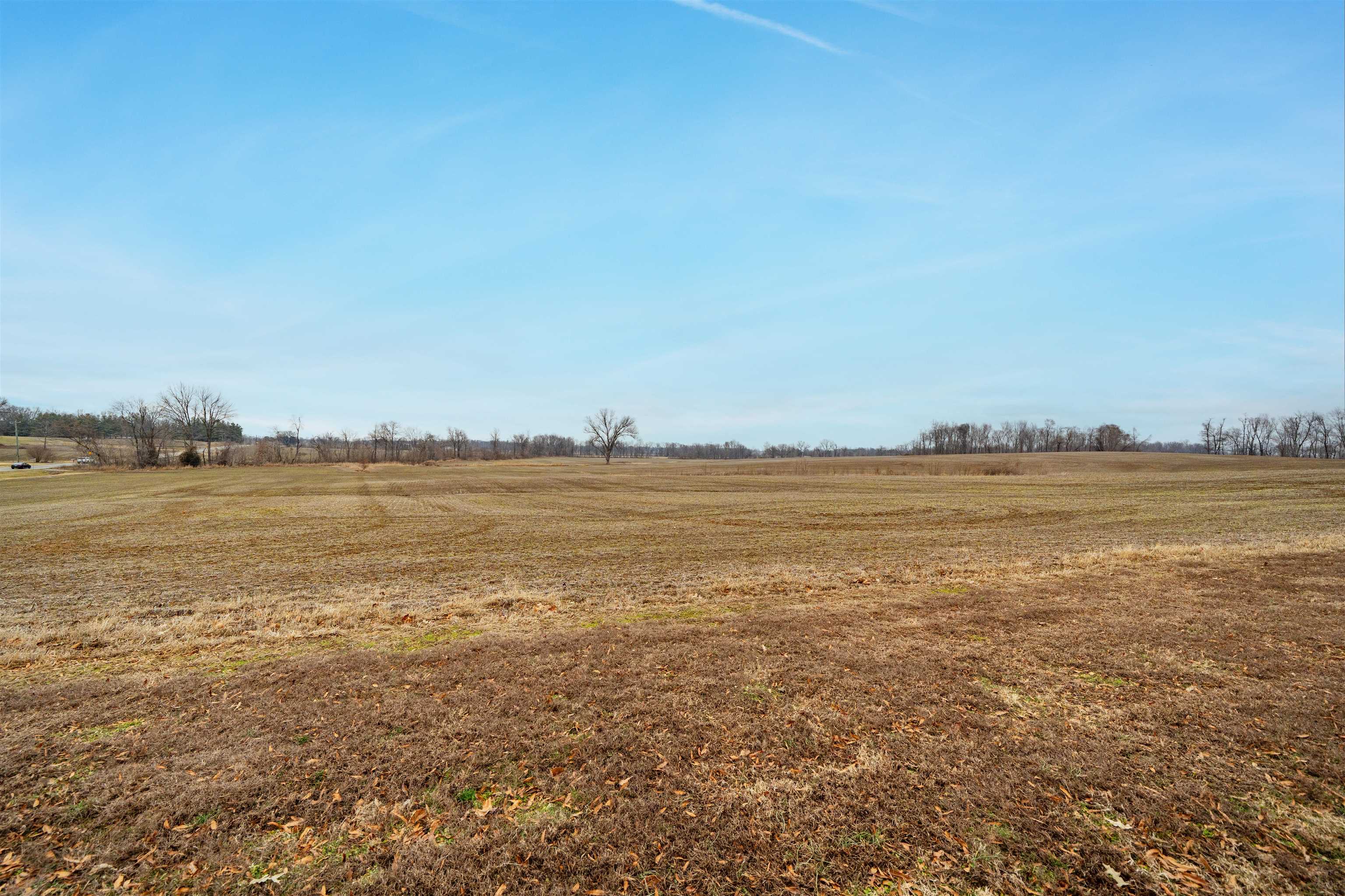 HWY 41 A, Henderson, Kentucky 42420, ,Farm,For Sale,41 A,94427