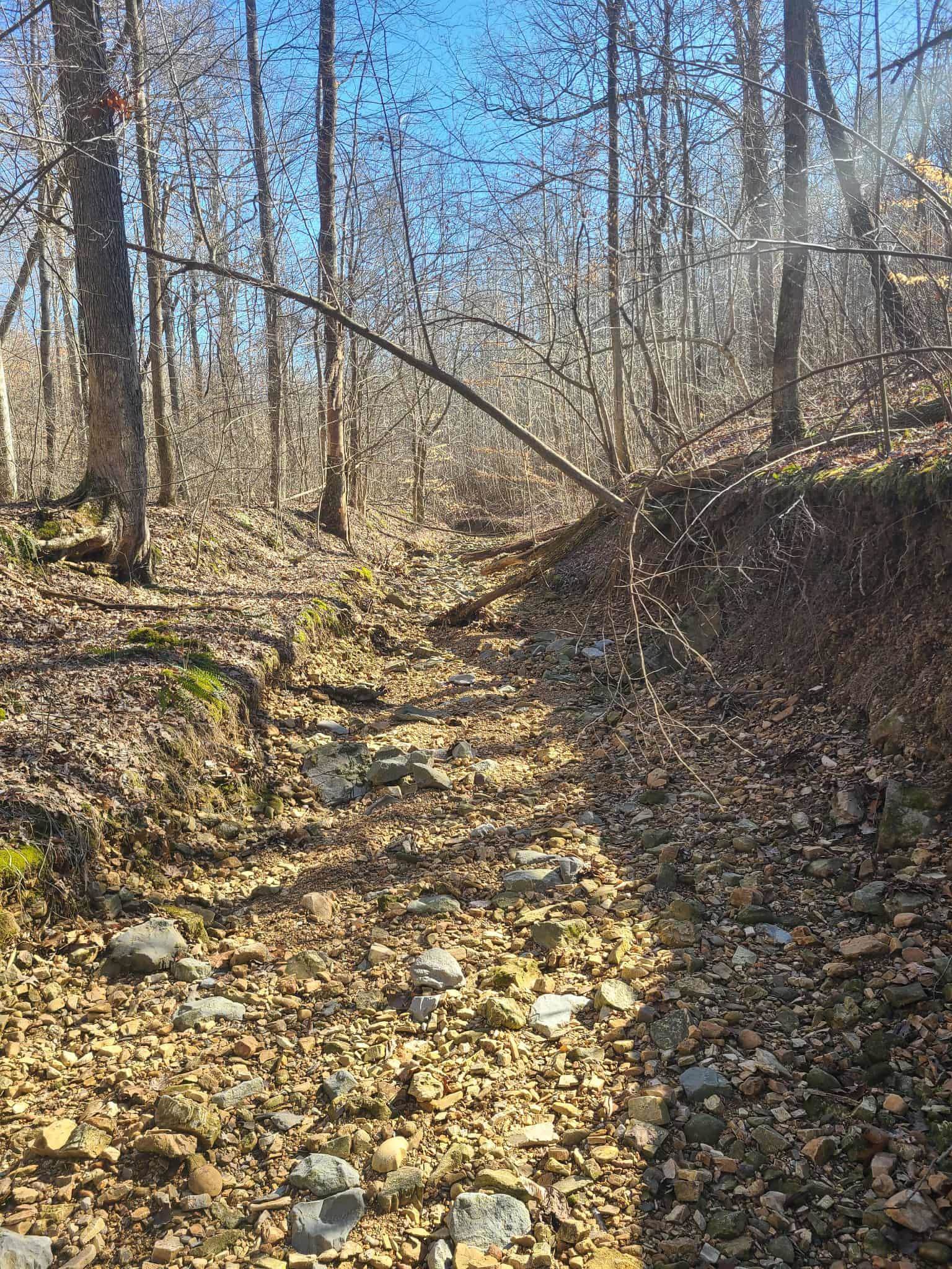 Lot R19 Coppersmith Cove, Eddyville, Kentucky 42038, ,Land,For Sale,Coppersmith Cove,94433