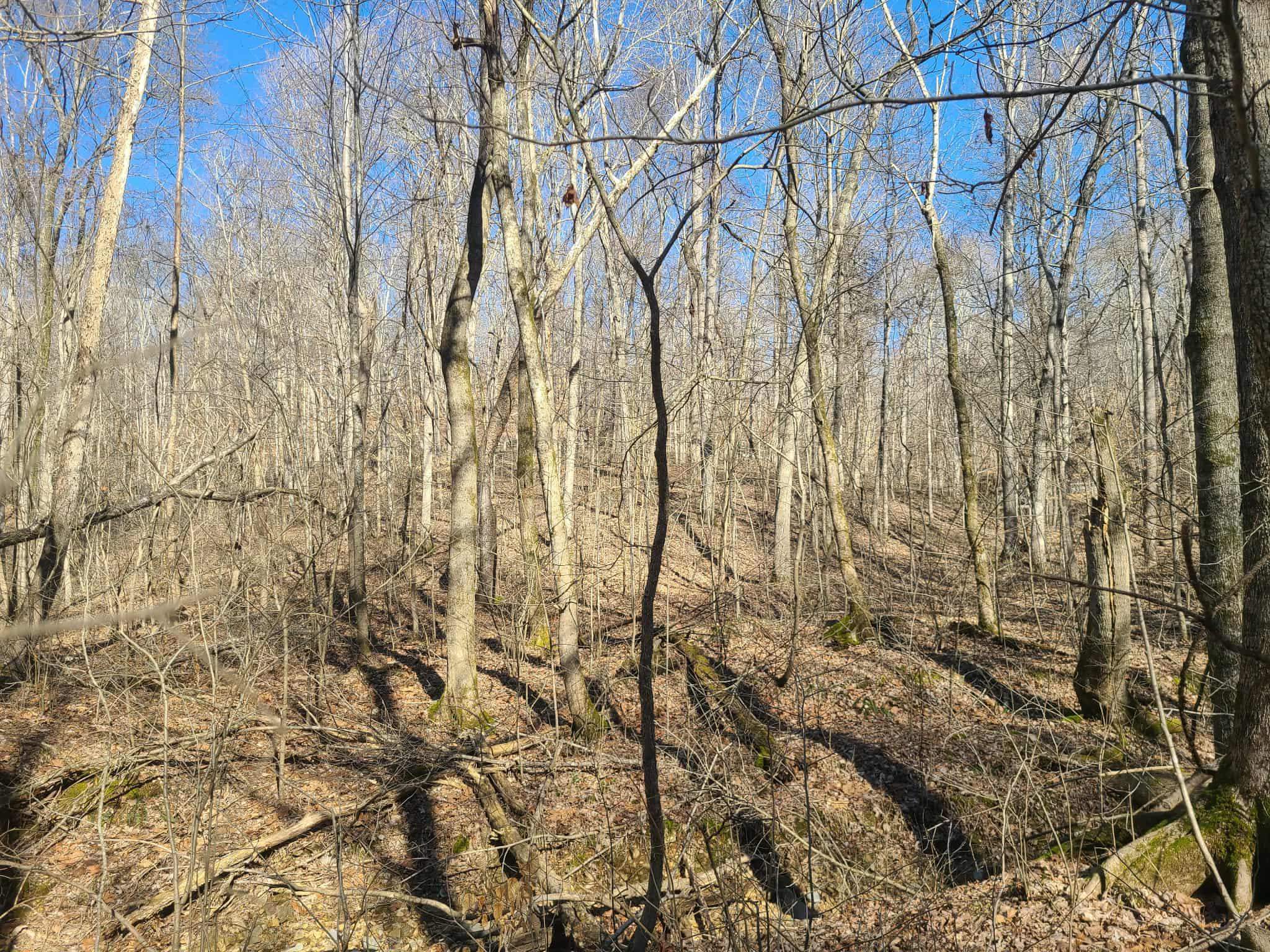 Lot R19 Coppersmith Cove, Eddyville, Kentucky 42038, ,Land,For Sale,Coppersmith Cove,94433