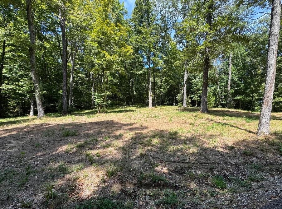 1193 Patriots Landing, Falls of Rough, Kentucky 40119, ,Land,For Sale,Patriots Landing,94434