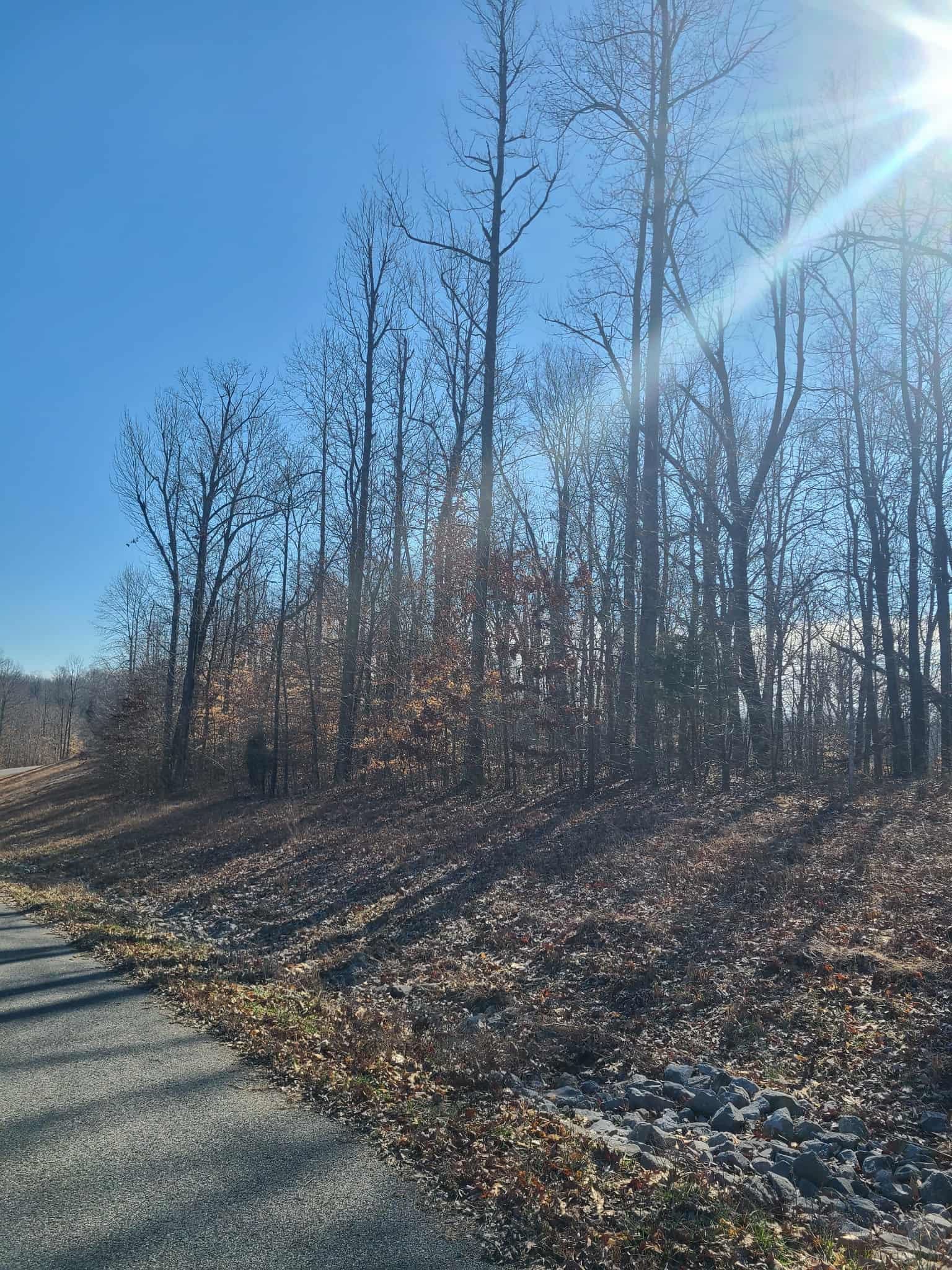 Lot R21 Coppersmith Cove, Eddyville, Kentucky 42038, ,Land,For Sale,Coppersmith Cove,94435