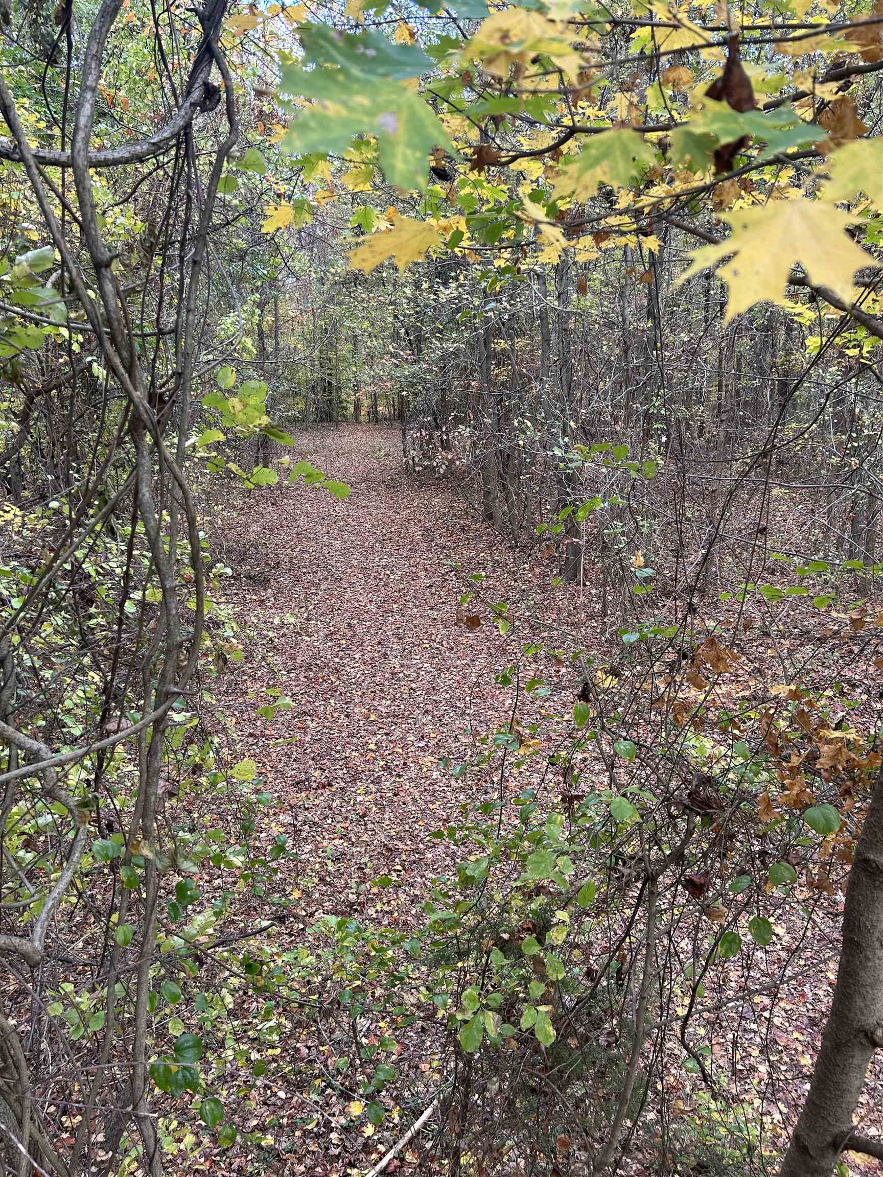 1360 Yelvington Knottsville Road, Yelvington, Kentucky 42355, ,Ranch,For Sale,Yelvington Knottsville Road,94449