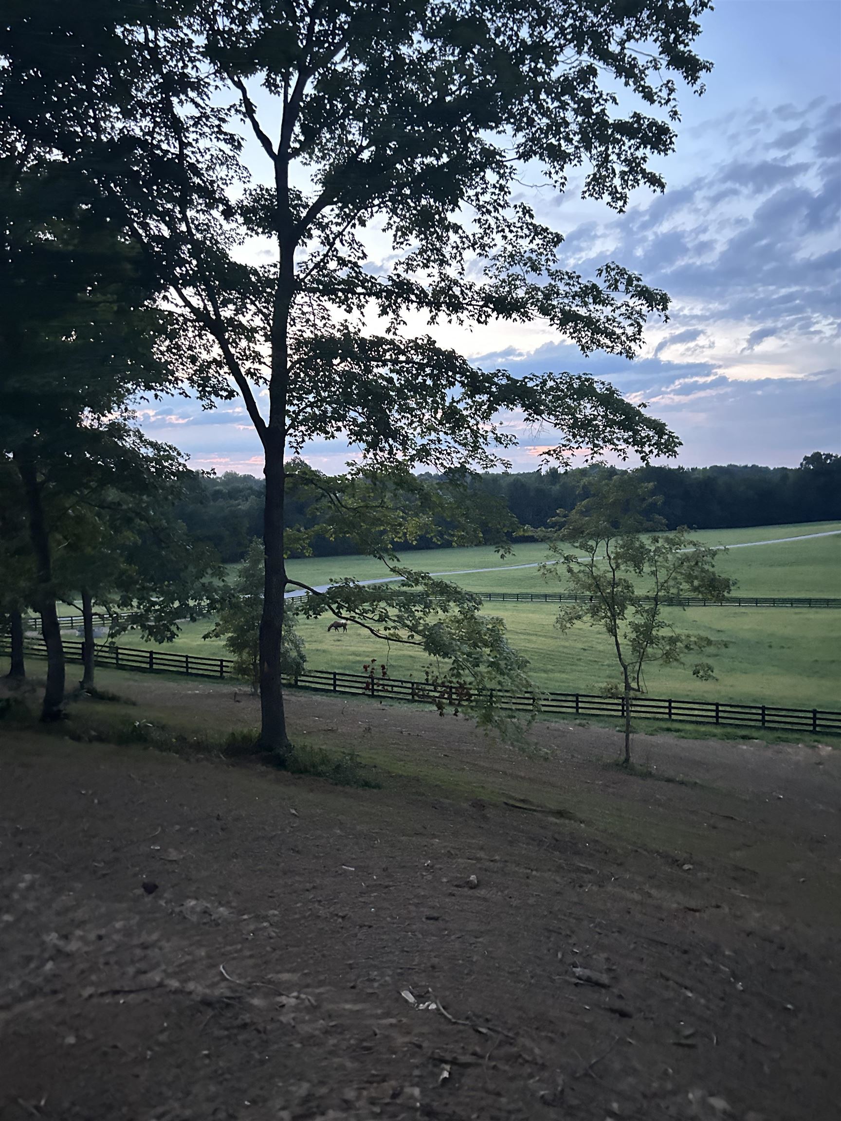 1360 Yelvington Knottsville Road, Yelvington, Kentucky 42355, ,Ranch,For Sale,Yelvington Knottsville Road,94449