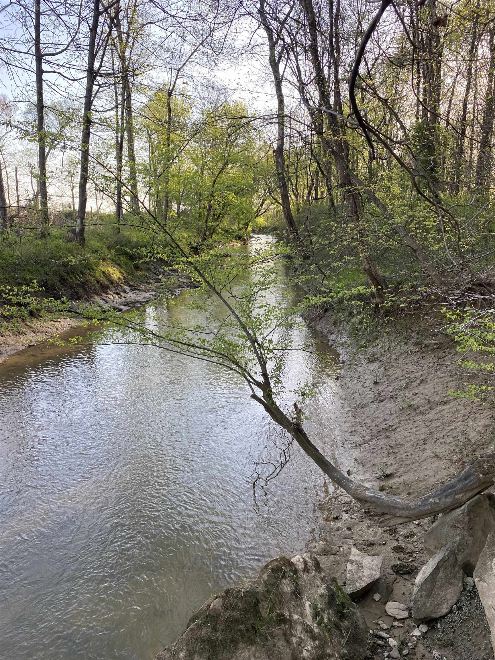 1360 Yelvington Knottsville Road, Yelvington, Kentucky 42355, ,Ranch,For Sale,Yelvington Knottsville Road,94449