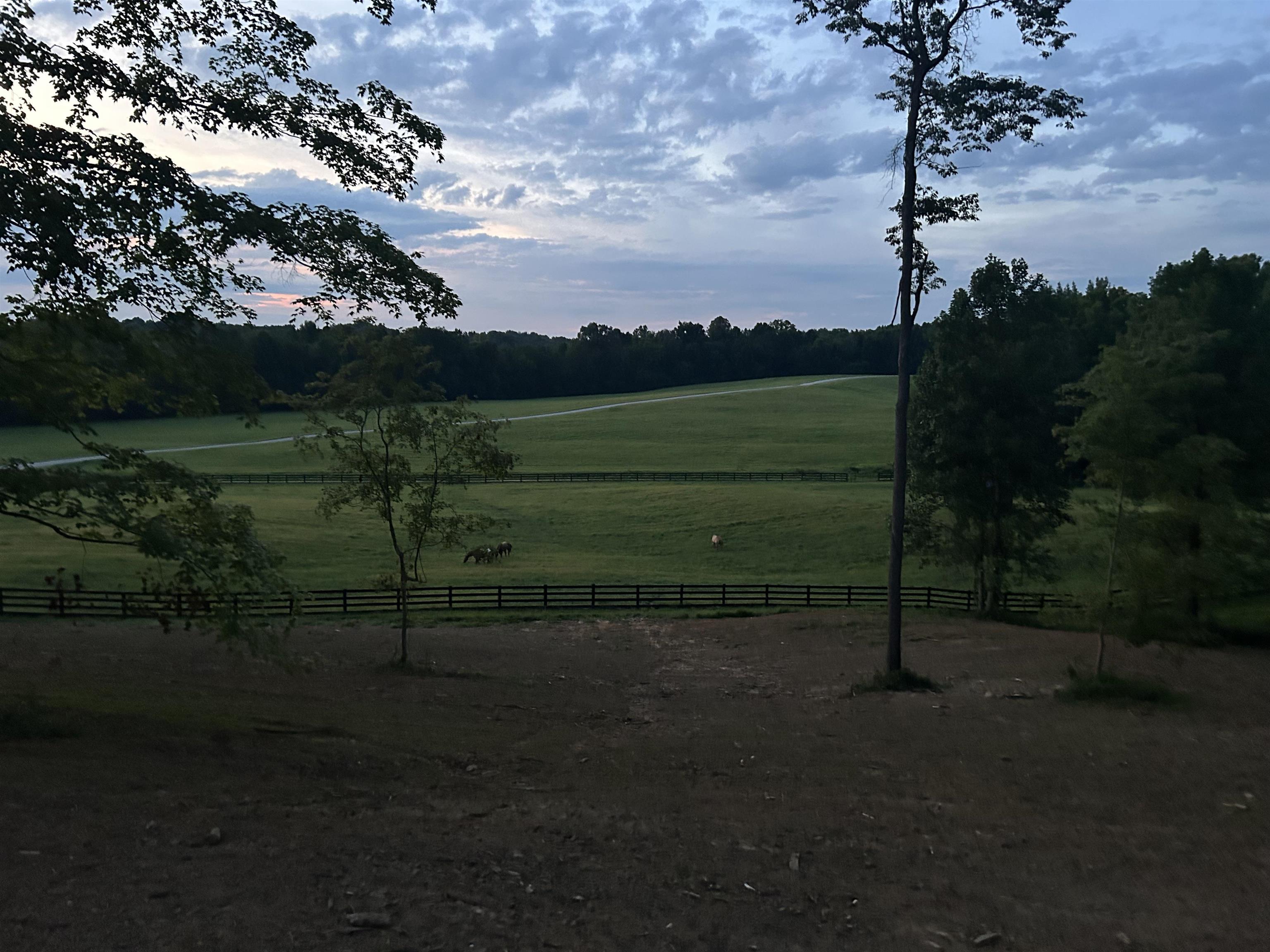 1360 Yelvington Knottsville Road, Yelvington, Kentucky 42355, ,Ranch,For Sale,Yelvington Knottsville Road,94449