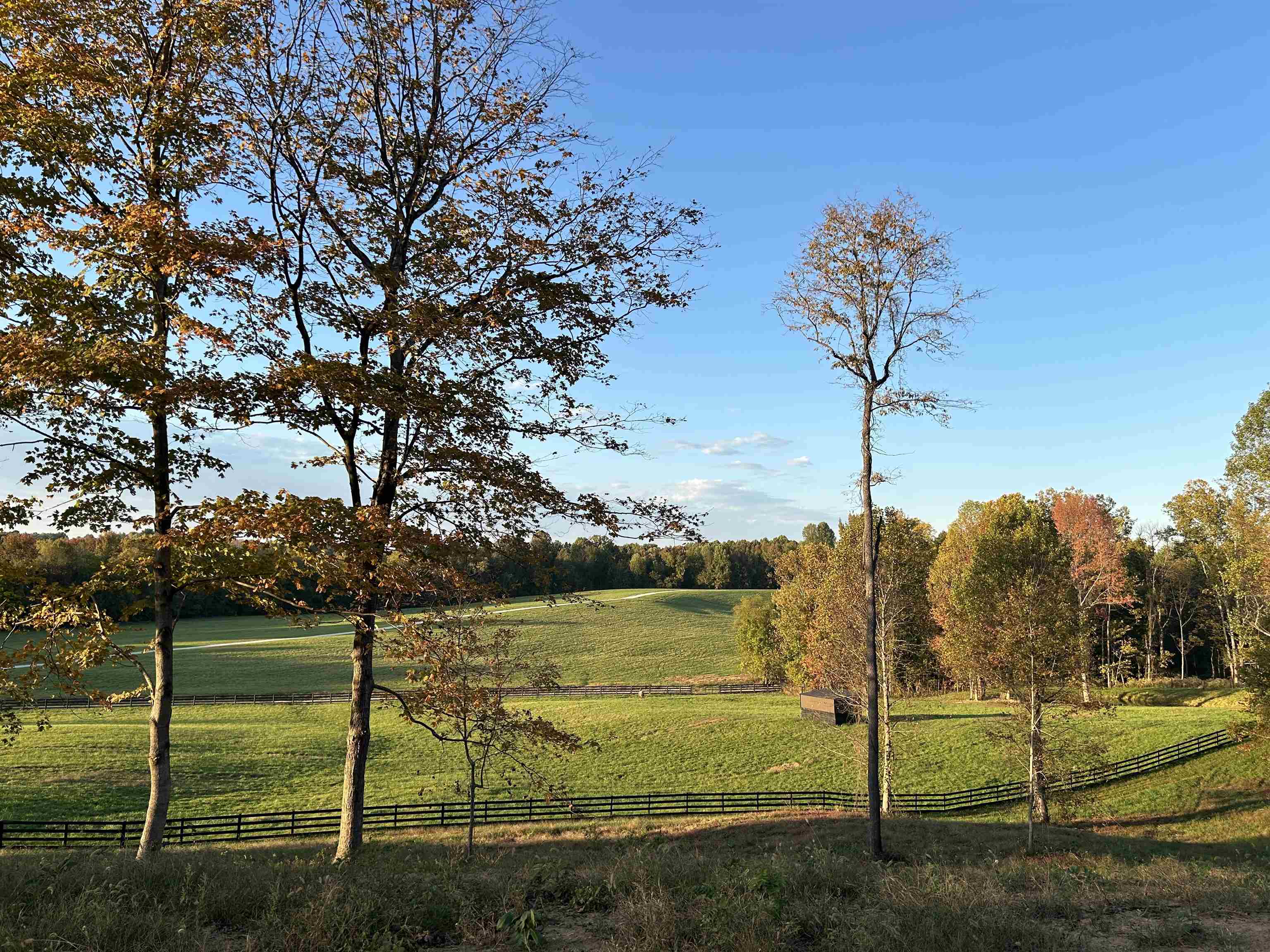 1360 Yelvington Knottsville Road, Yelvington, Kentucky 42355, ,Ranch,For Sale,Yelvington Knottsville Road,94449