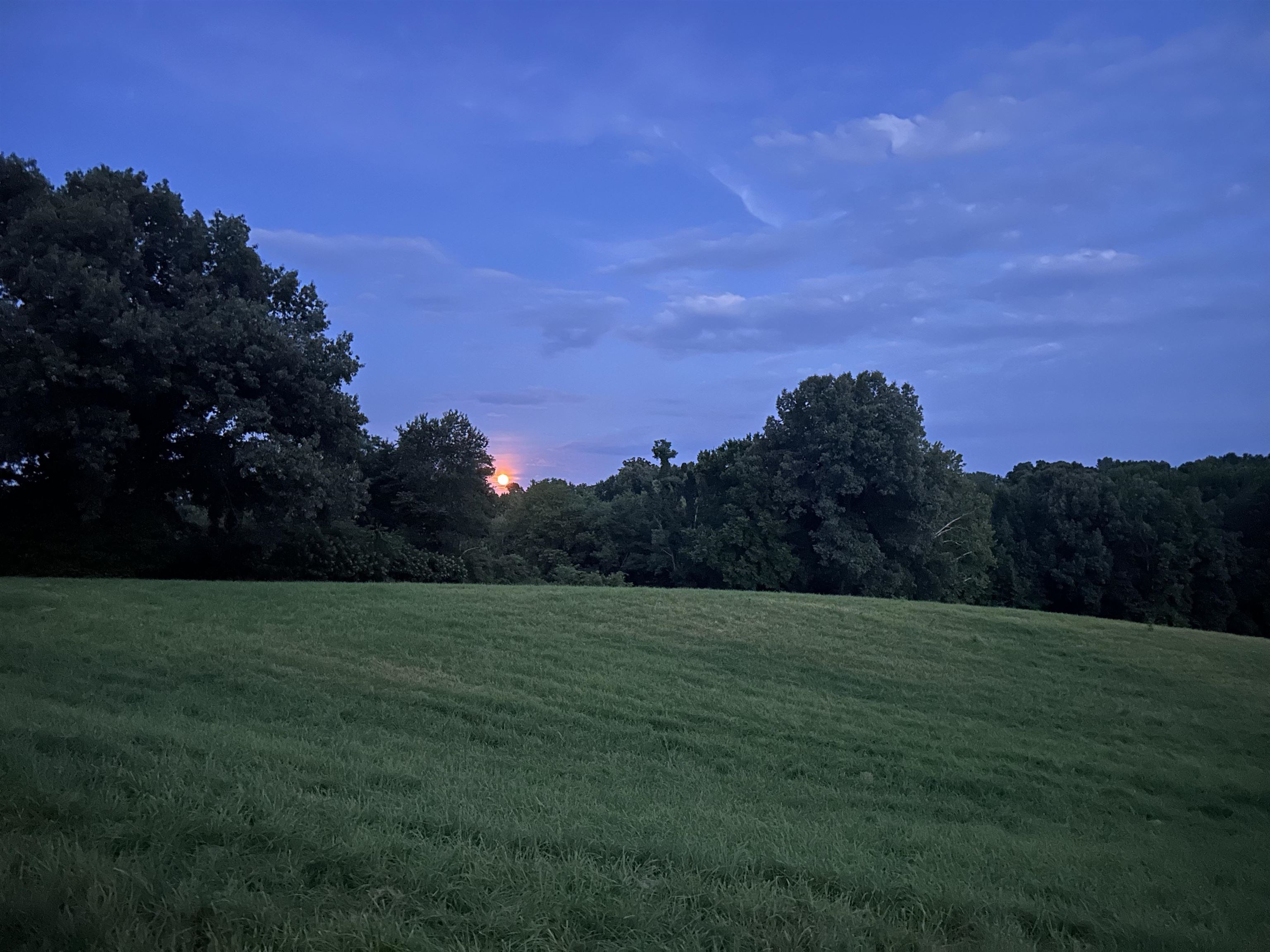 1360 Yelvington Knottsville Road, Yelvington, Kentucky 42355, ,Ranch,For Sale,Yelvington Knottsville Road,94449