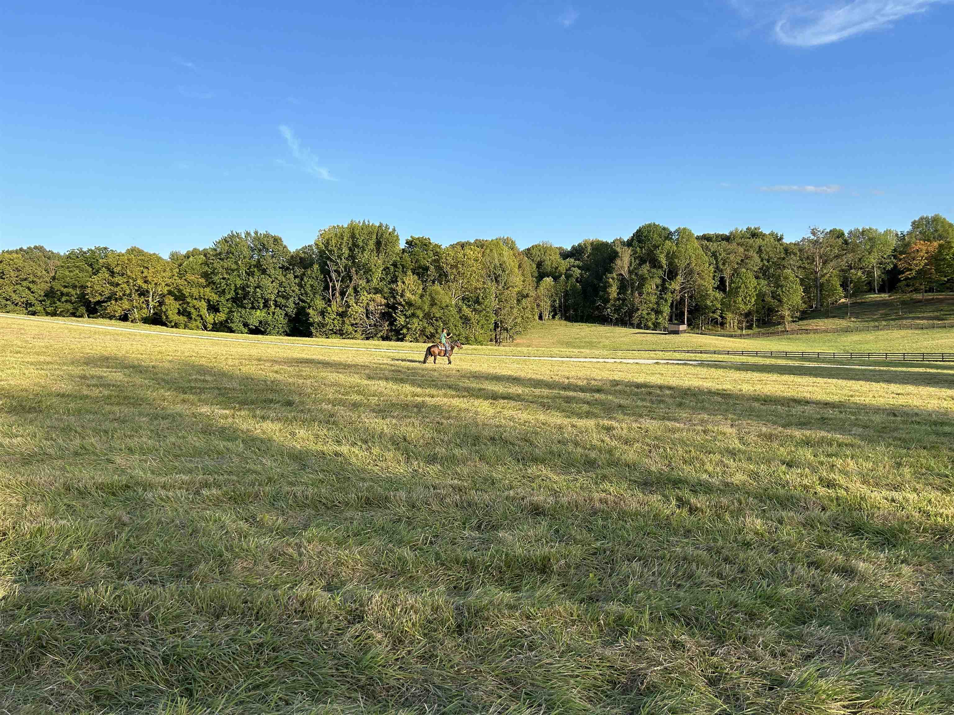 1360 Yelvington Knottsville Road, Yelvington, Kentucky 42355, ,Ranch,For Sale,Yelvington Knottsville Road,94449